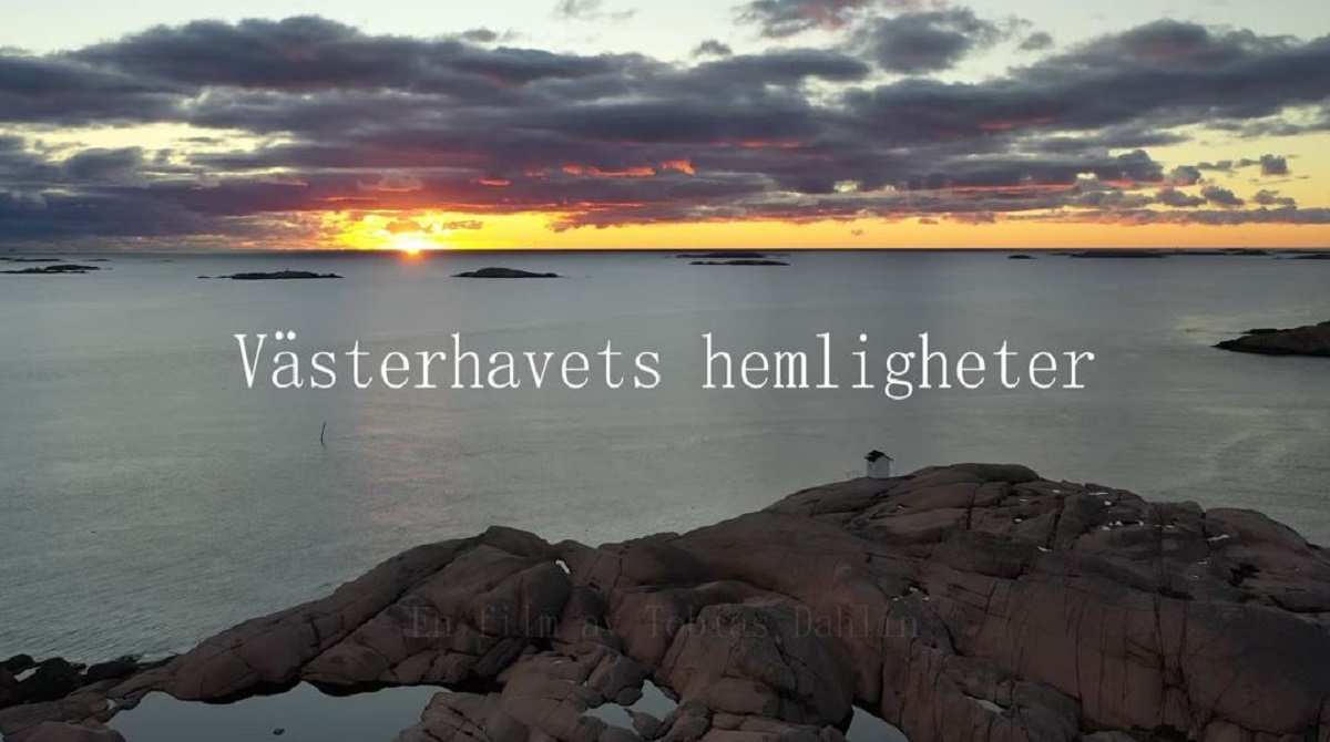 Vasterhavets hemlihget