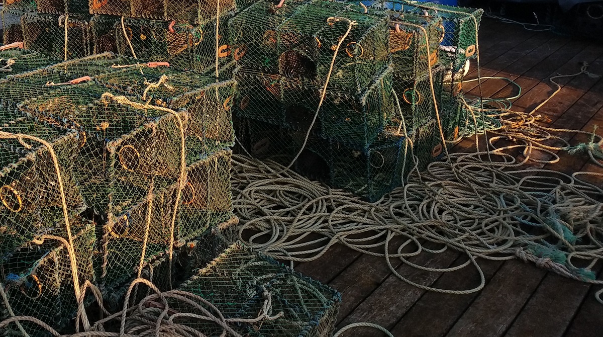 1200_670_IMG_20240718